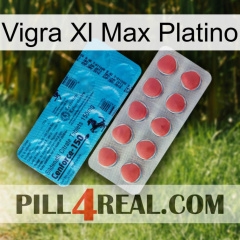 Vigra Xl Max Platinum new14